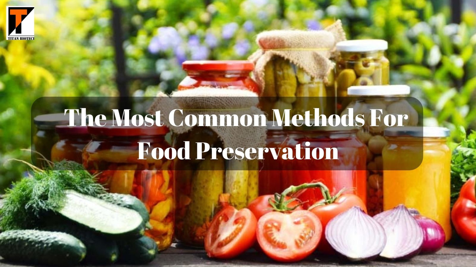 Methods For Food Preservation 