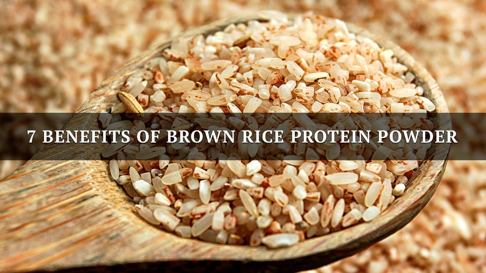 7 Benefits of Brown Rice Protein Powder | Titan Biotech Ltd.