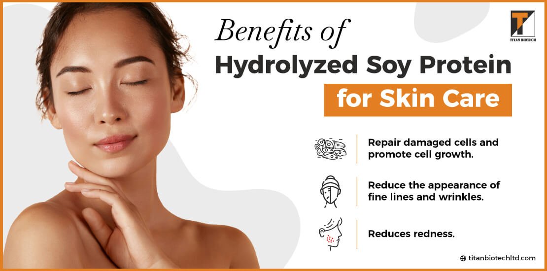 Benefits of Hydrolyzed Soy Protein for Skin Care