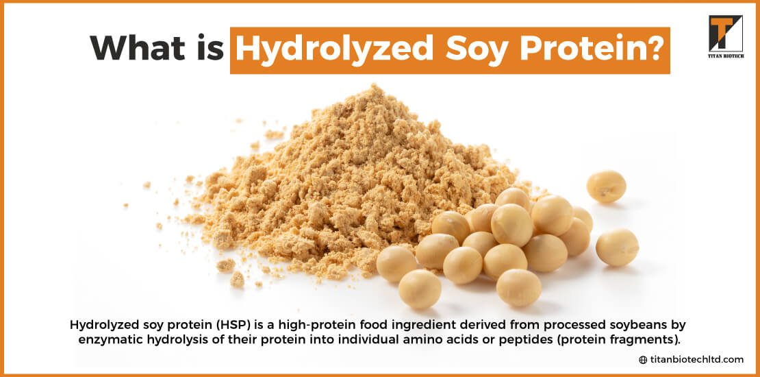 What is Hydrolyzed Soy Protein?