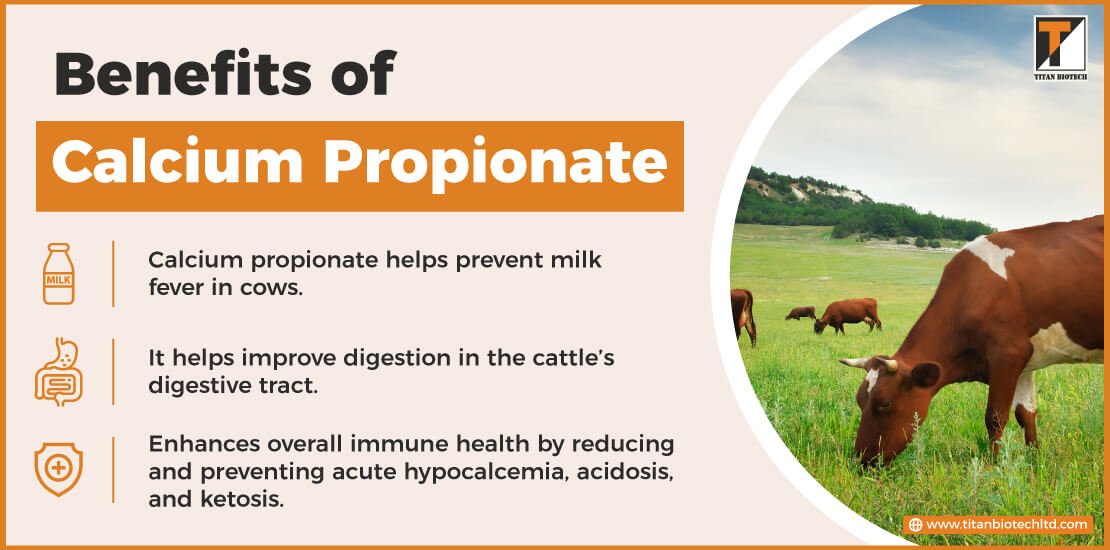 Benefits of Calcium Propionate