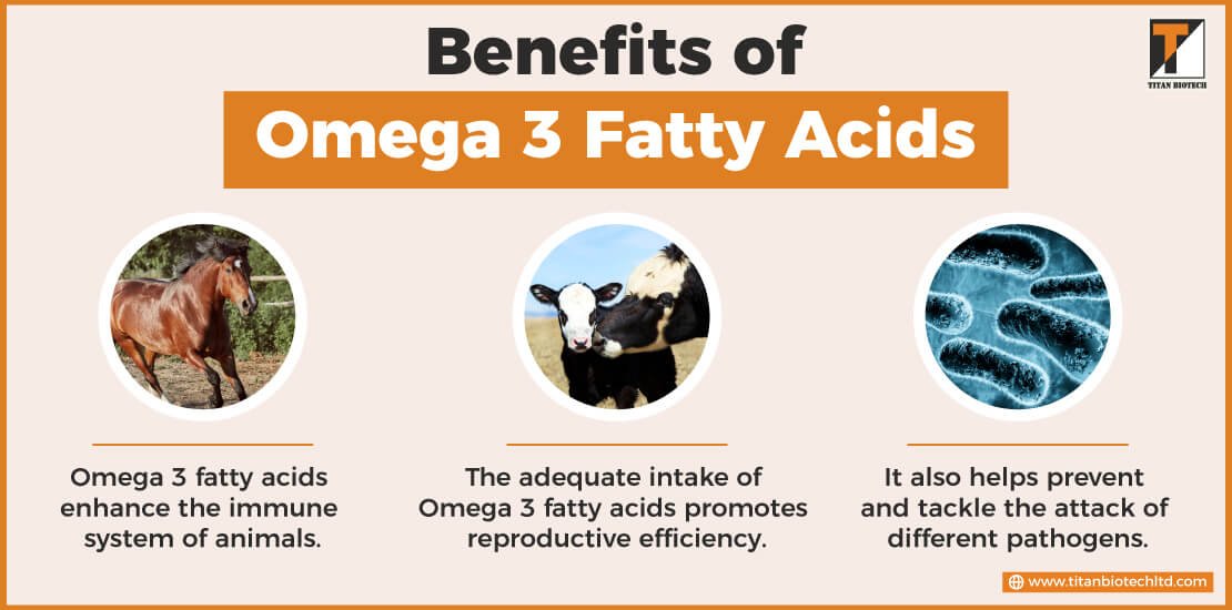 Benefits of Omega 3 Fatty Acids