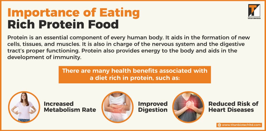 Importance of Eating Rich Protein Food