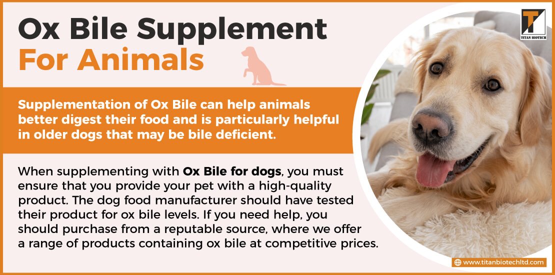 Ox Bile Supplement For Animals