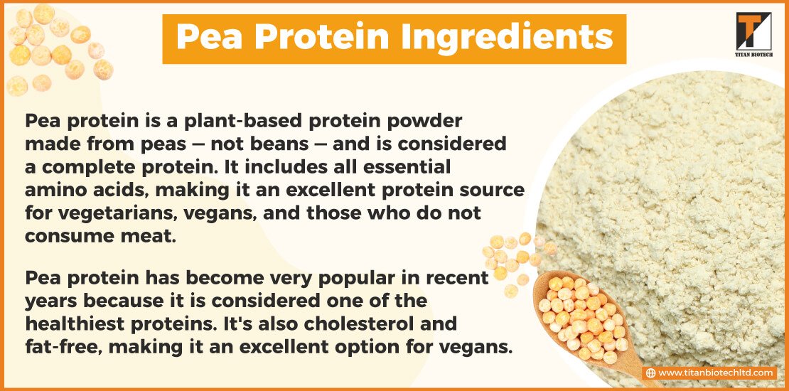 Pea Protein Ingredients