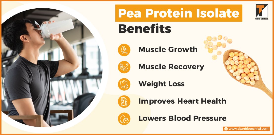 Pea Protein Isolate Benefits
