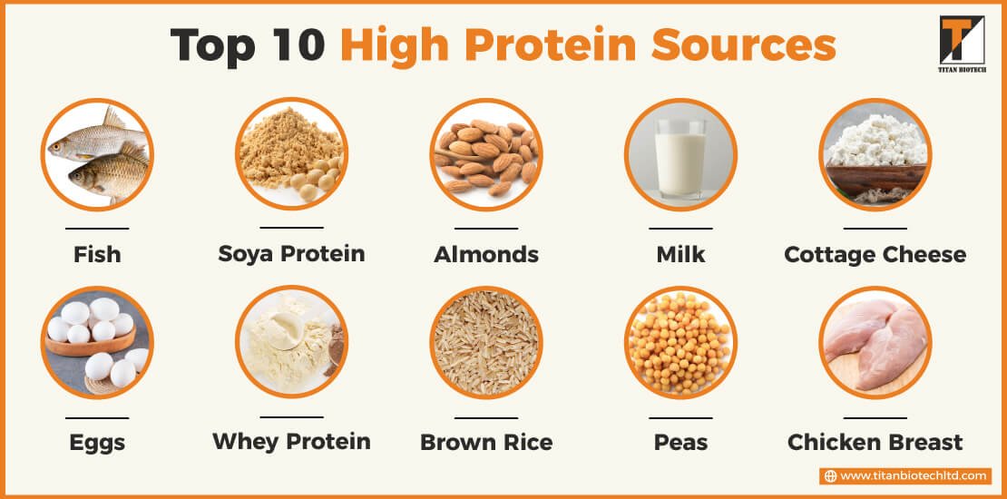 Top 10 High Protein Sources