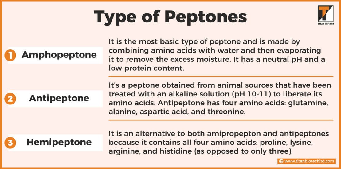 Type of Peptones