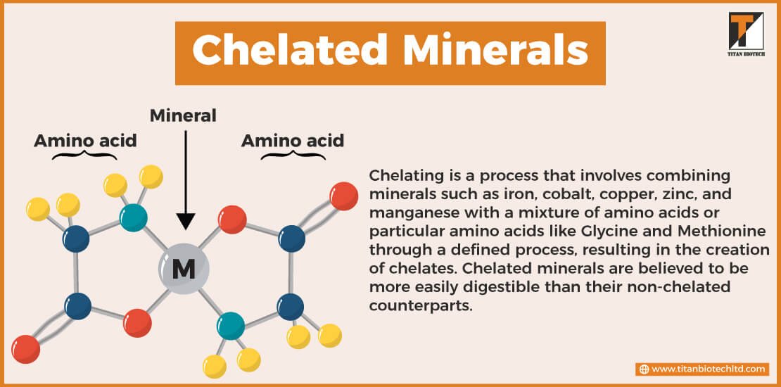 What are Chelated Minerals?