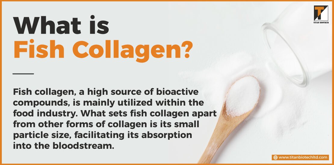 What is Fish Collagen?