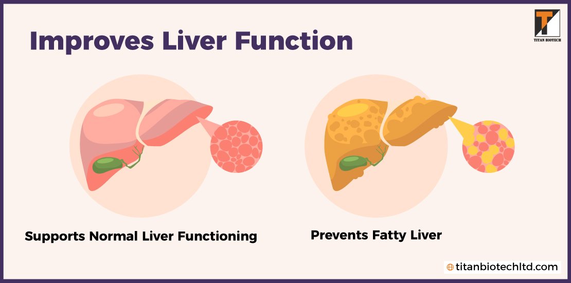 Improves-Liver-Function