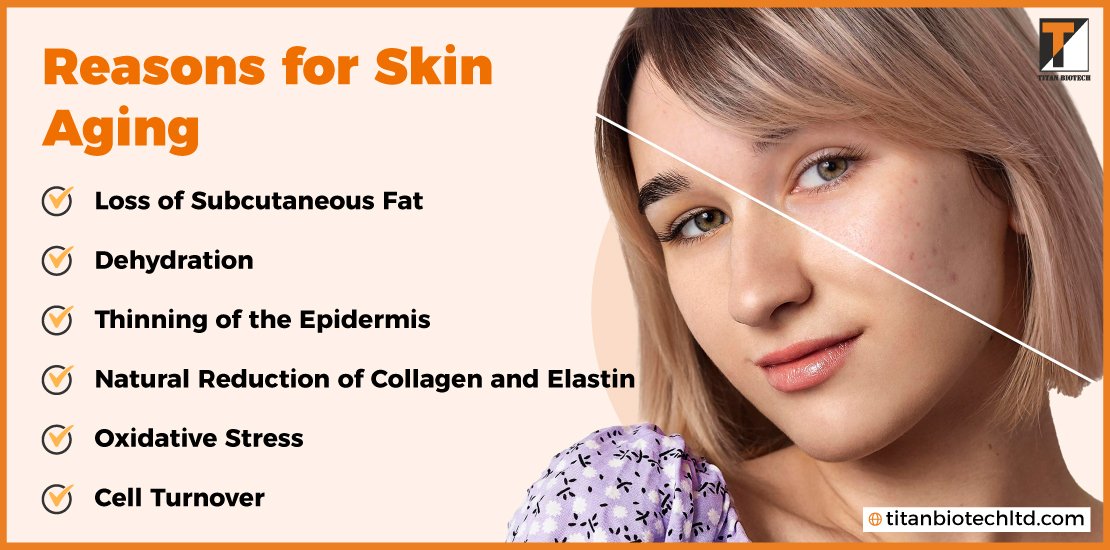 Reasons-For-Skin-Aging