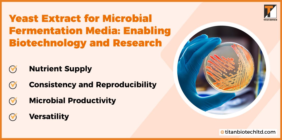 Yeast-Extract-For-Microbial-Fermentation-Media