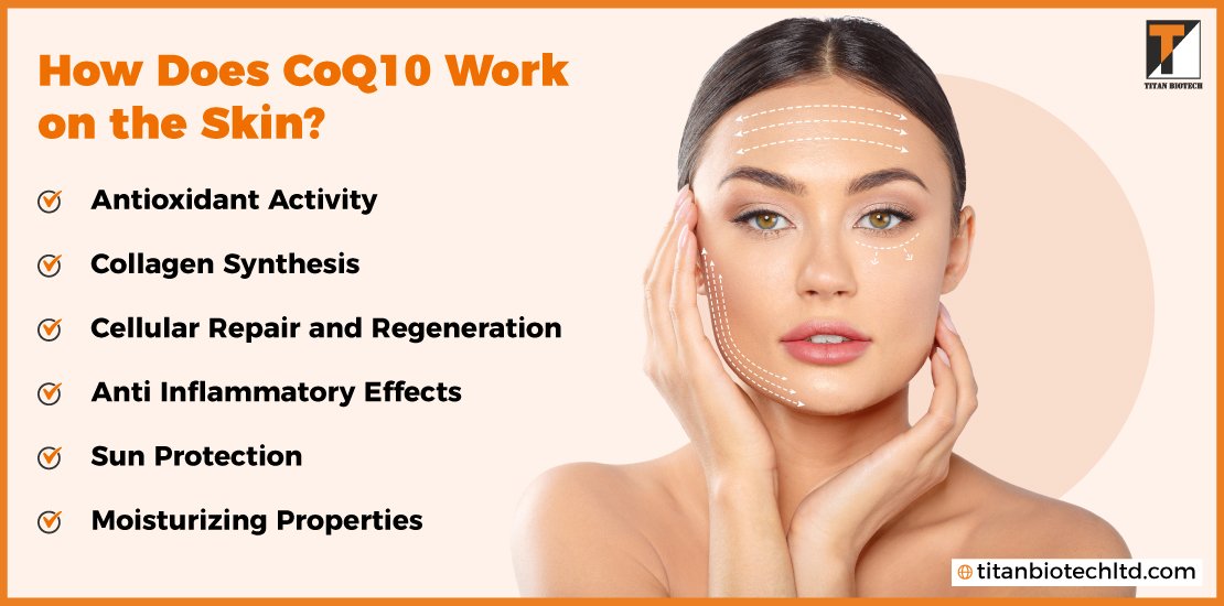 How-does-Coq10-Work-on-the-Skin