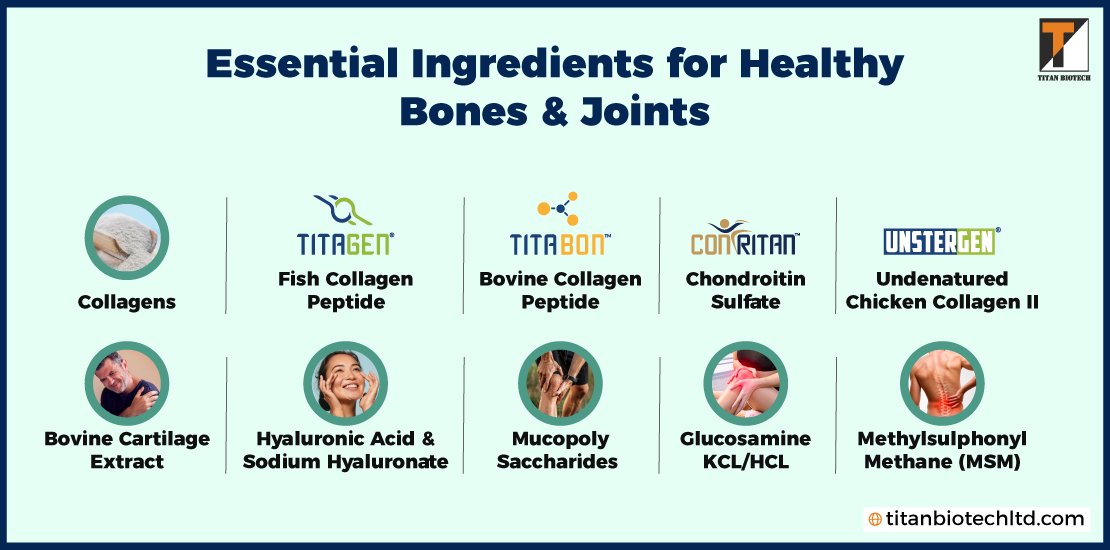 Essential-Ingredients-for-Healthy-Bones-and-Joints