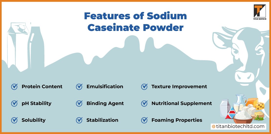 Features-of-Sodium-Caseinate-Powder