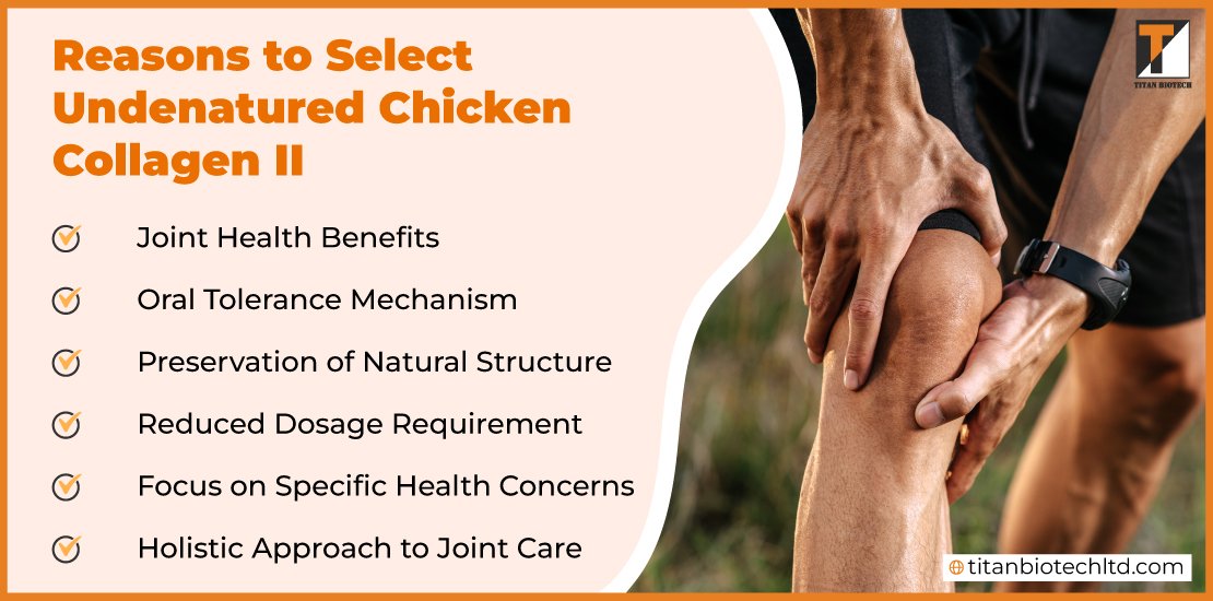 Reasons-to-Select-Undenatured-Chicken-Collagen-II