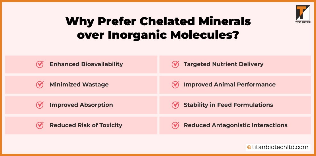 Why-Prefer-Chelated-Minerals-Over-Inorganic-Molecules