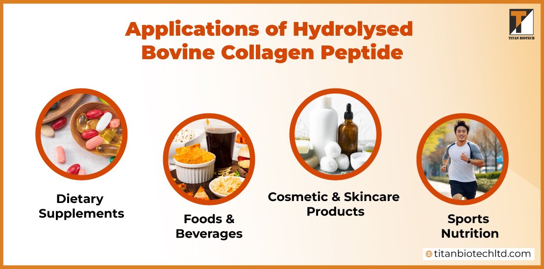 Applications-of-Hydrolysed-Bovine-Collagen-Peptide