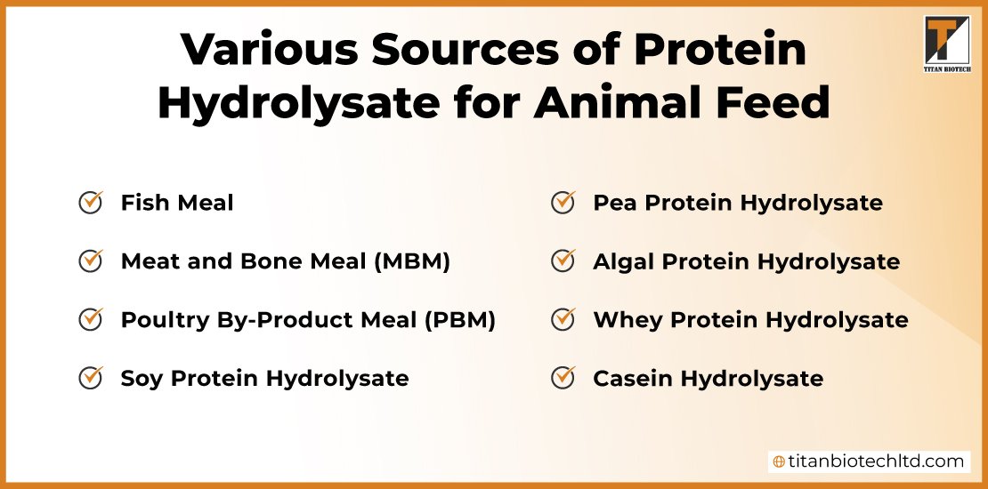 Various-Sources-of-Protein-Hydrolysate-for-Animal-Feed