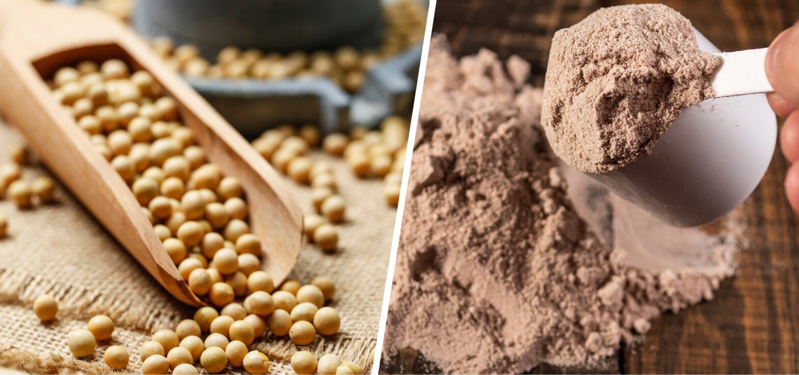 Pea-Protein-or-Whey-Protein-Which-One-is-Better