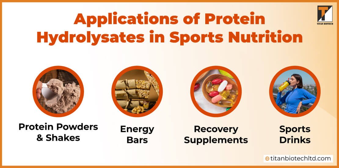 Applications-of-Protein-Hydrolysate-in-Sports-Nutrition