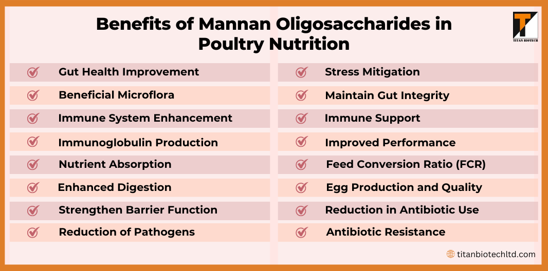 Benefits-of-Mannan-Oligosaccharides-in-Poultry-Nutrition