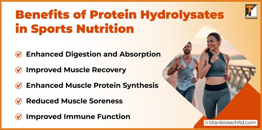 Benefits-of-Protein-Hydrolysate-in-Sports-Nutrition