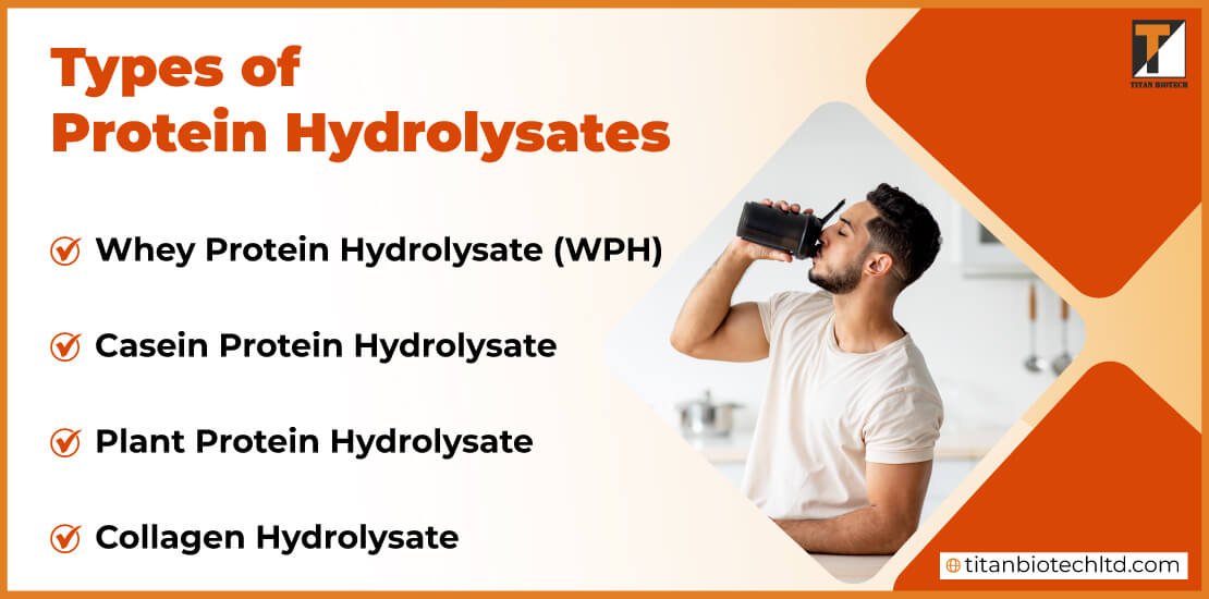 Types-of-Protein-Hydrolysate