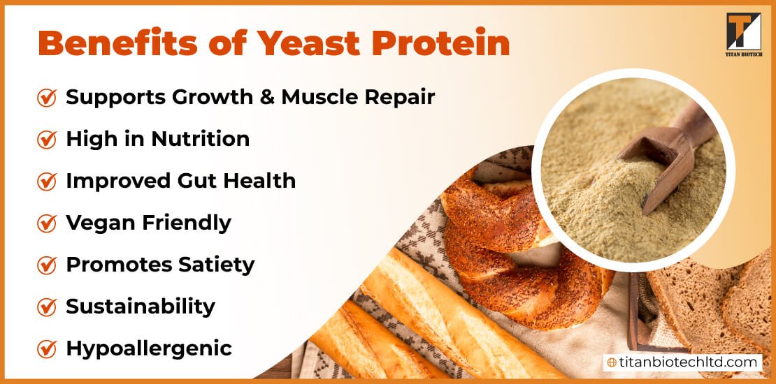 Benefits-of-Yeast-Protein