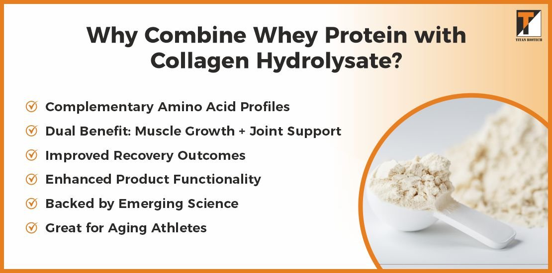 Why Combine Whey Protein With Collagen Hydrolysate