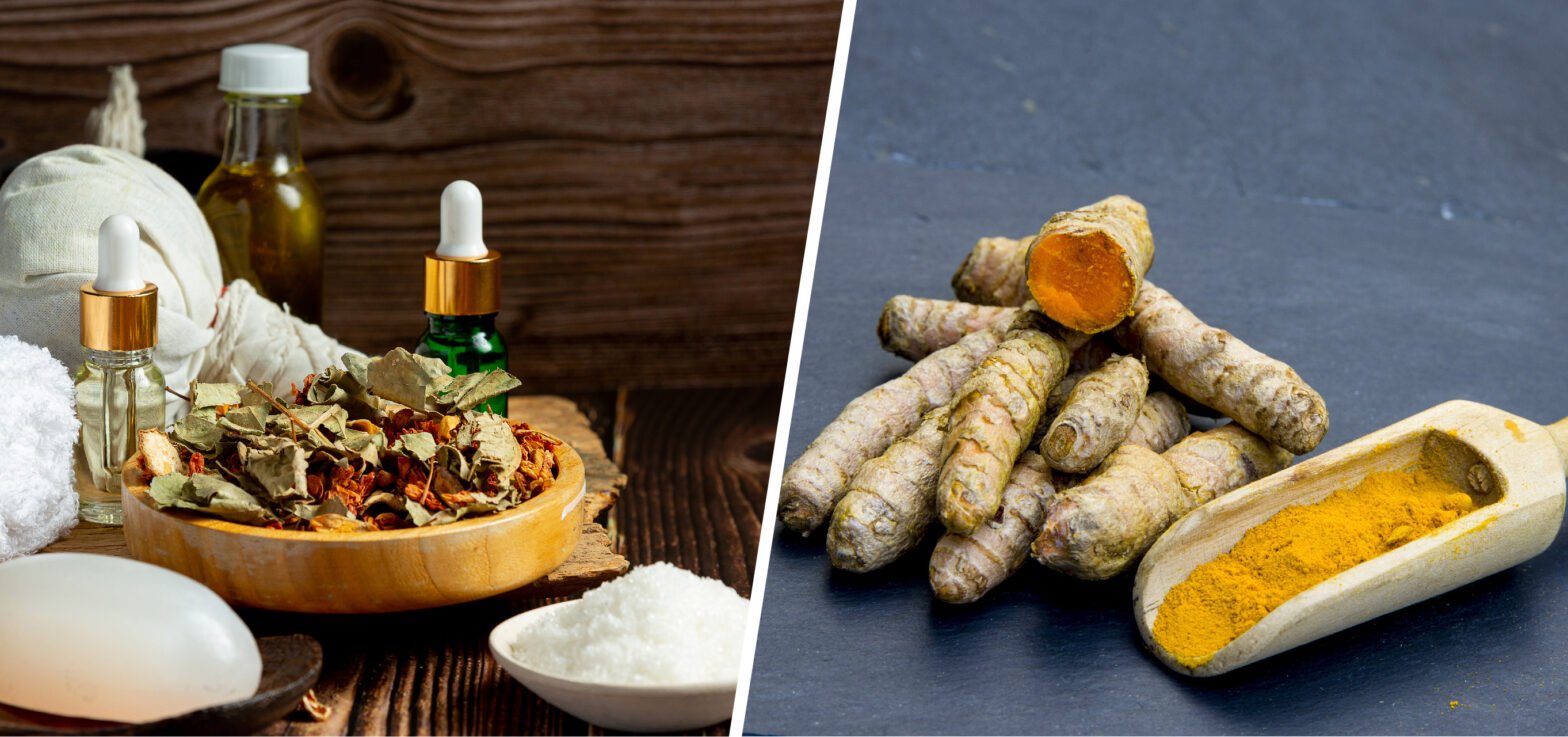 Haridra (Curcuma Longa): A Natural Powerhouse for the Nutraceutical and Phytochem Industries