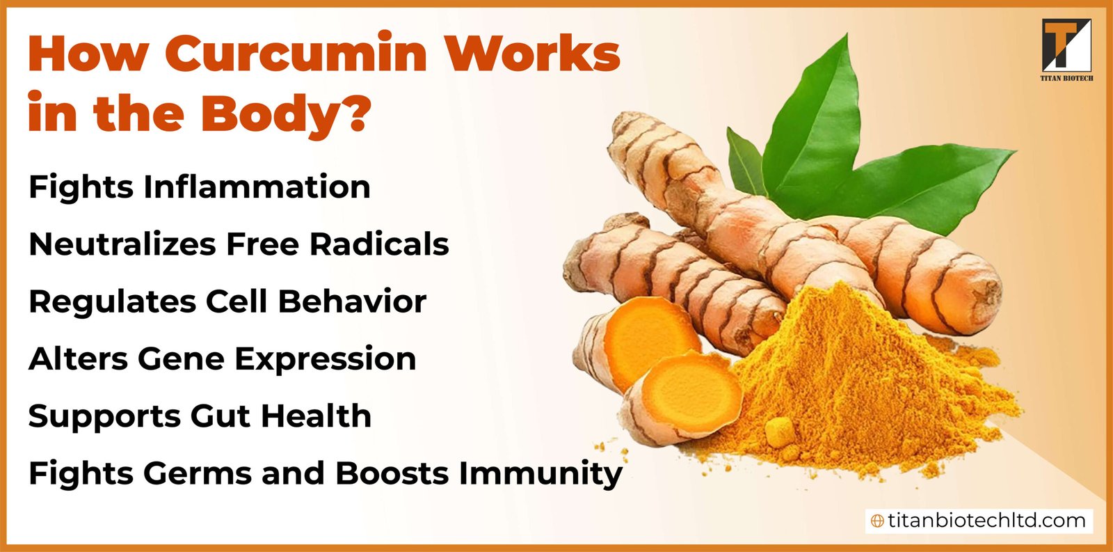 How Curcumin Works in the Body?