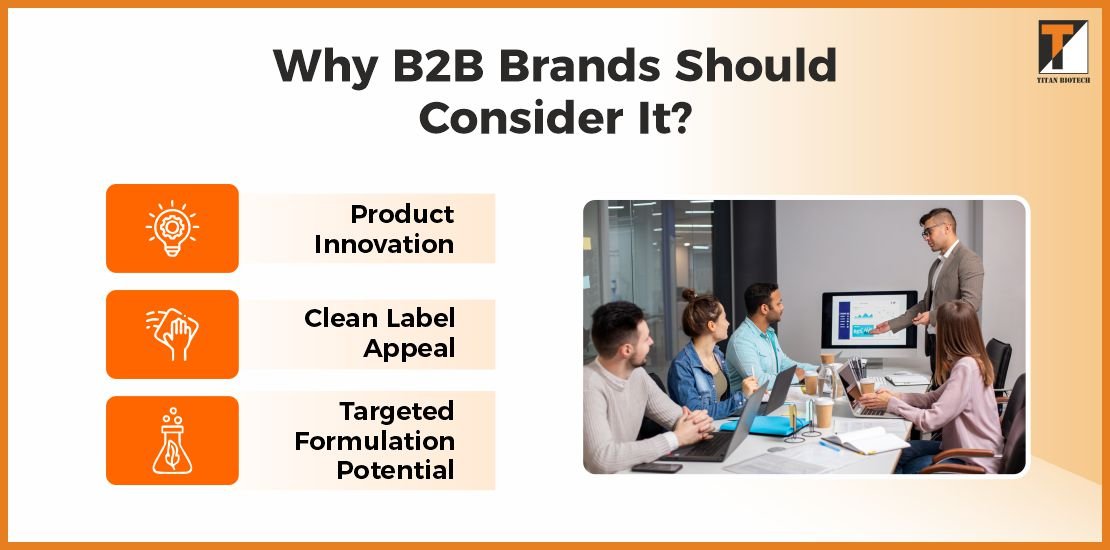 Why B2B Brands Should Consider It