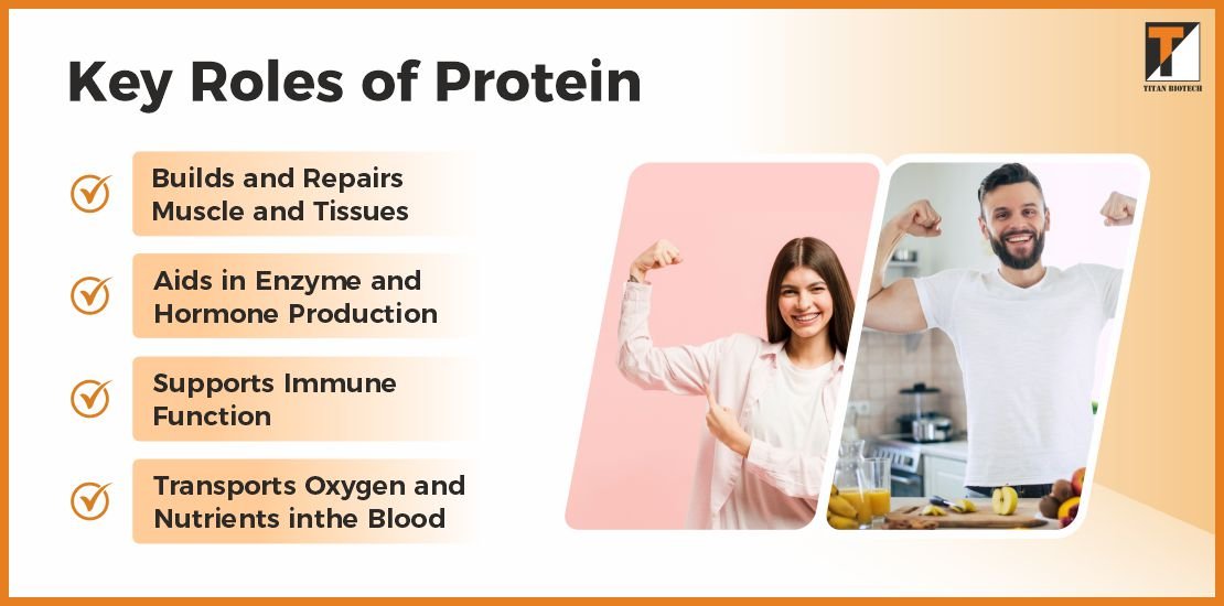 Key Roles of Protein Key Roles of Protein