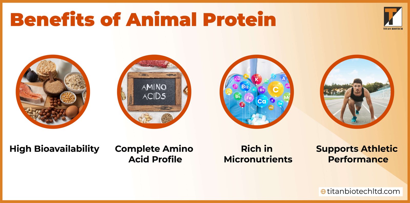Benefits of Animal Protein