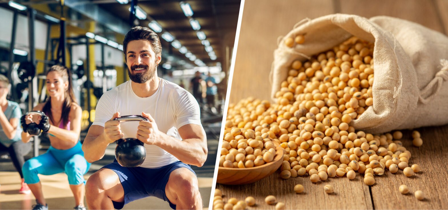 The Role of Pea Protein in Everyday Life