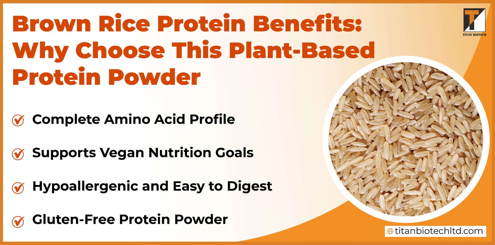 Brown Rice Protein Benefits: Why Choose This Plant-Based Protein Powder Brown Rice Protein Benefits: Why Choose This Plant-Based Protein Powder