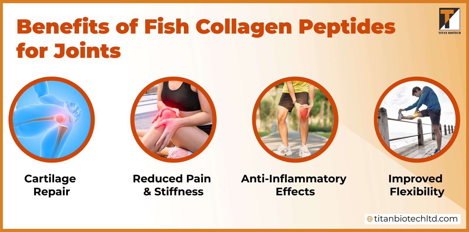 Benefits of Fish Collagen Peptides for Joints