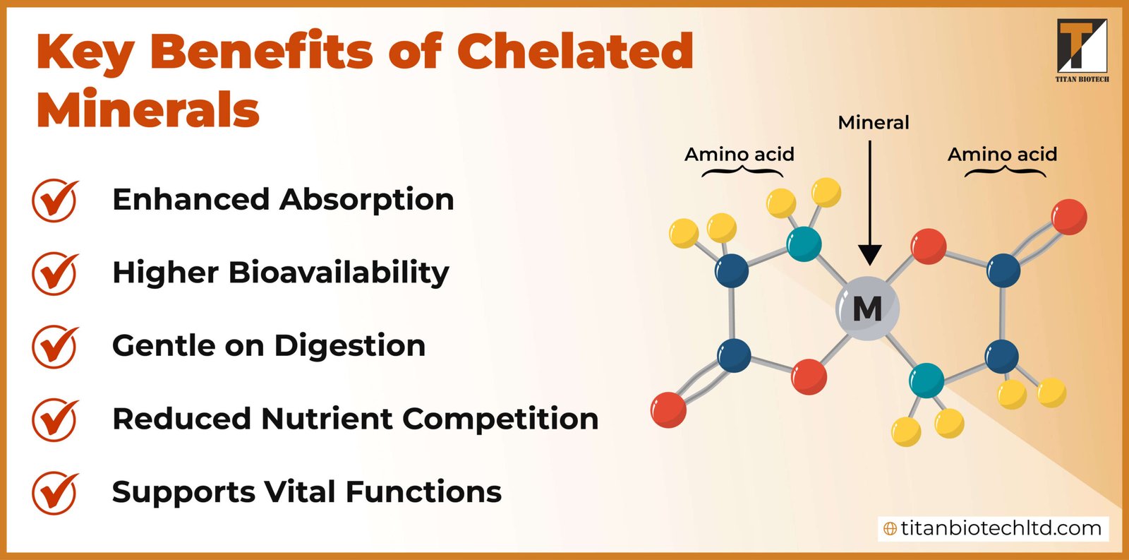 Key Benefits of Chelated Minerals