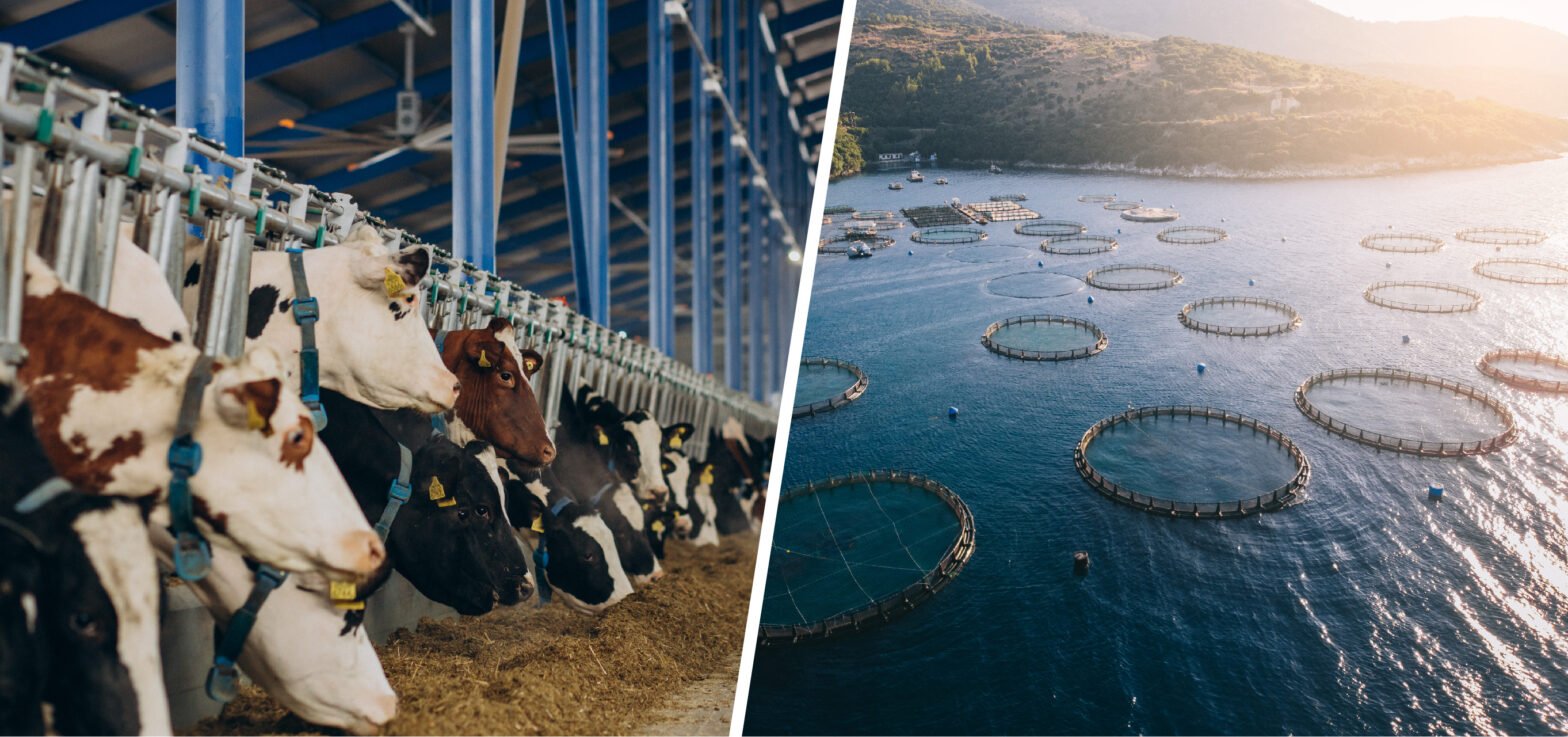 butyrates in animal nutrition clinical evidence mechanisms & multi species benefits