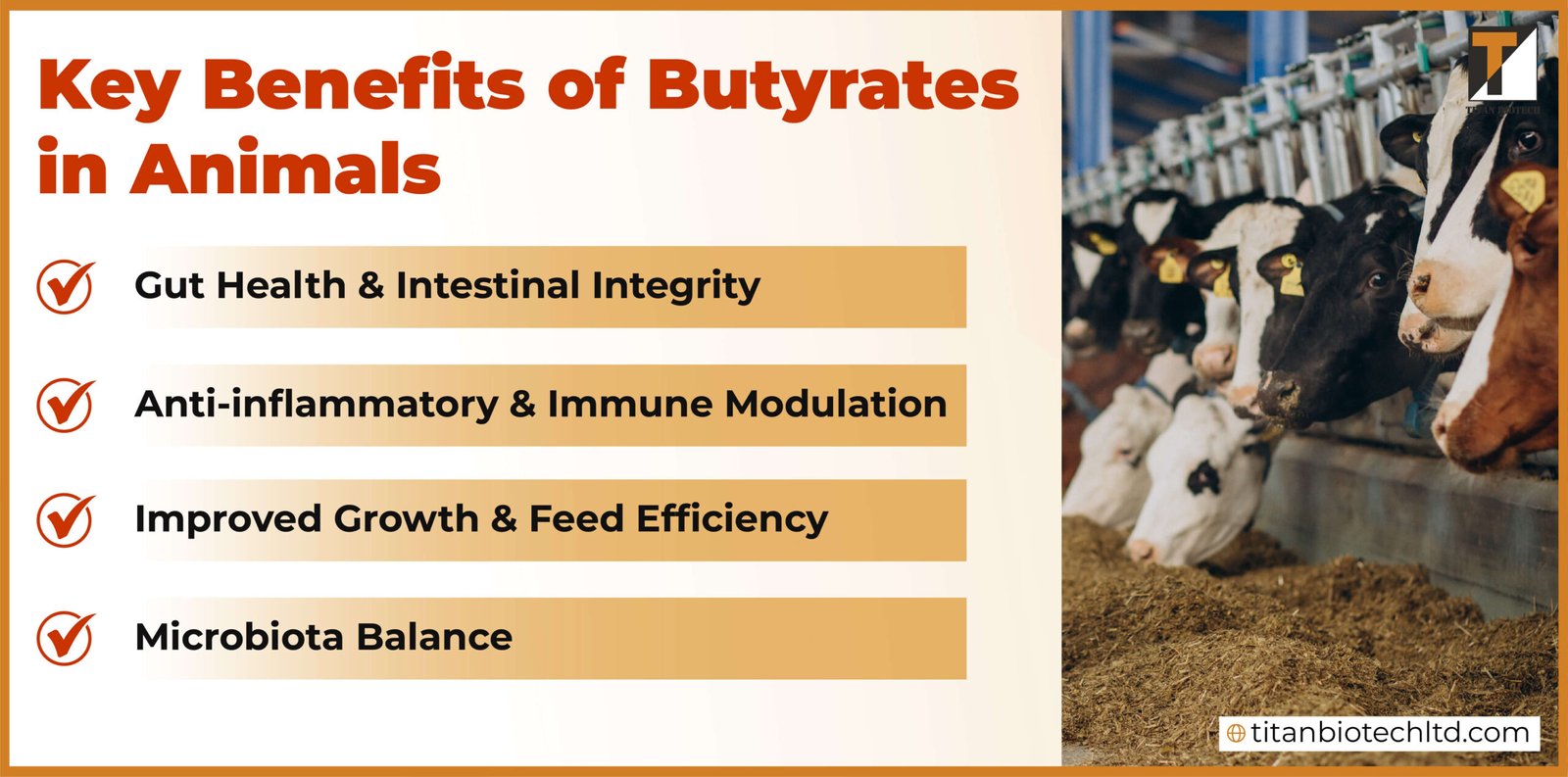 Key Benefits of Butyrates in Animals