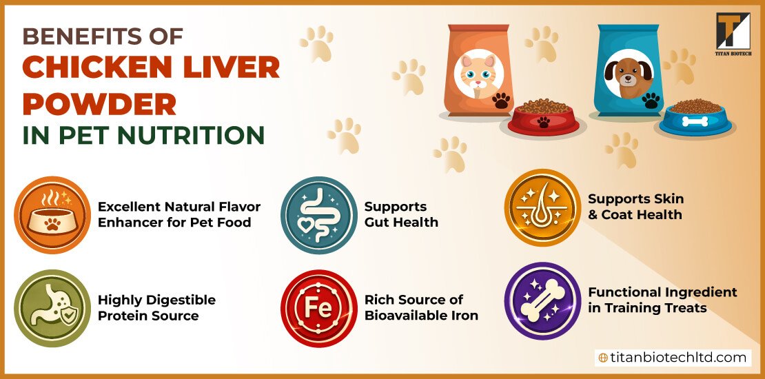Benefits of Chicken Liver Powder in Pet Nutrition Benefits of Chicken Liver Powder in Pet Nutrition
