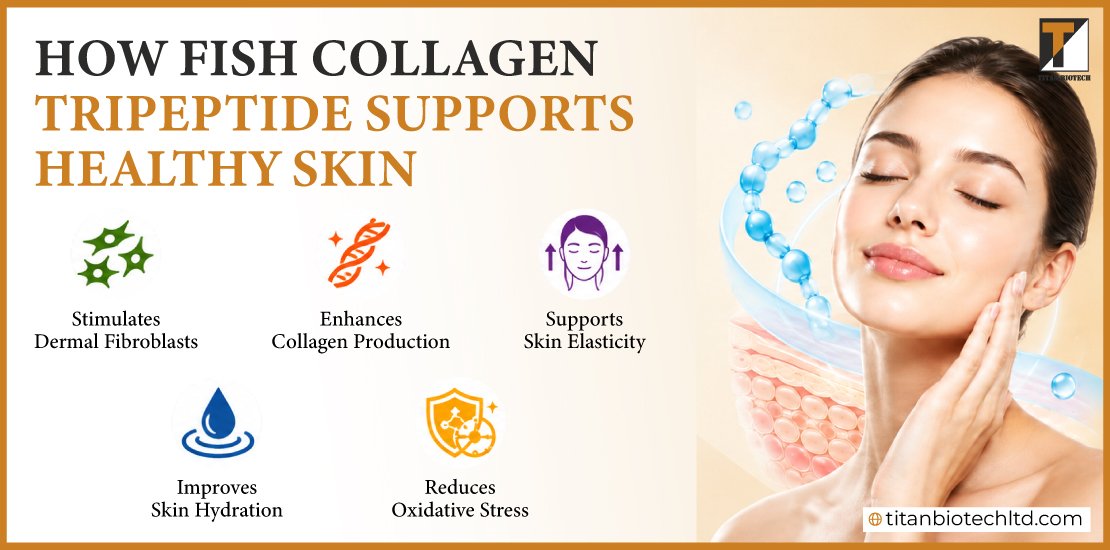 How Fish Collagen Tripeptide Supports Healthy Skin